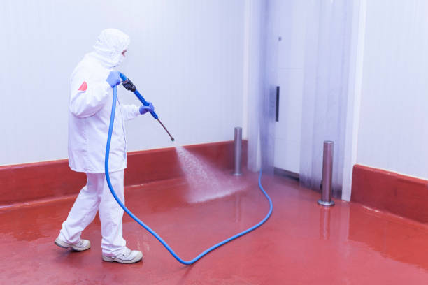 Best Roof Cleaning and Mildew Removal in Leonville, LA